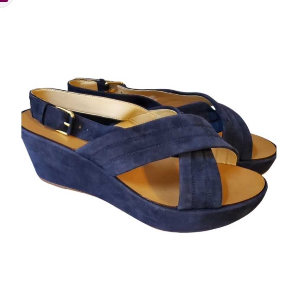 J Crew Blue Suede Wedge Sandals | 8